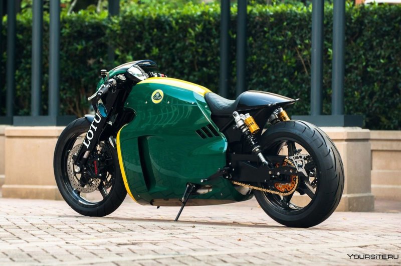 Lotus c-01
