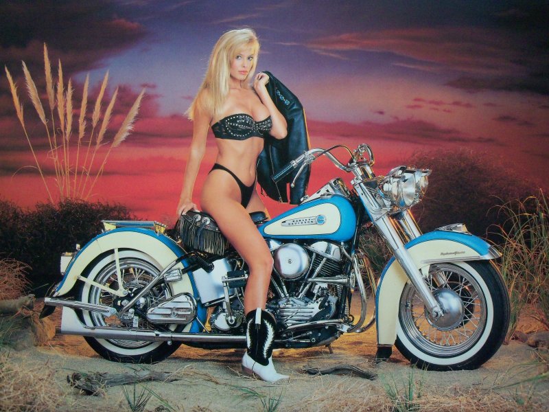 Мотоциклы Харлей Дэвидсон и тёлки