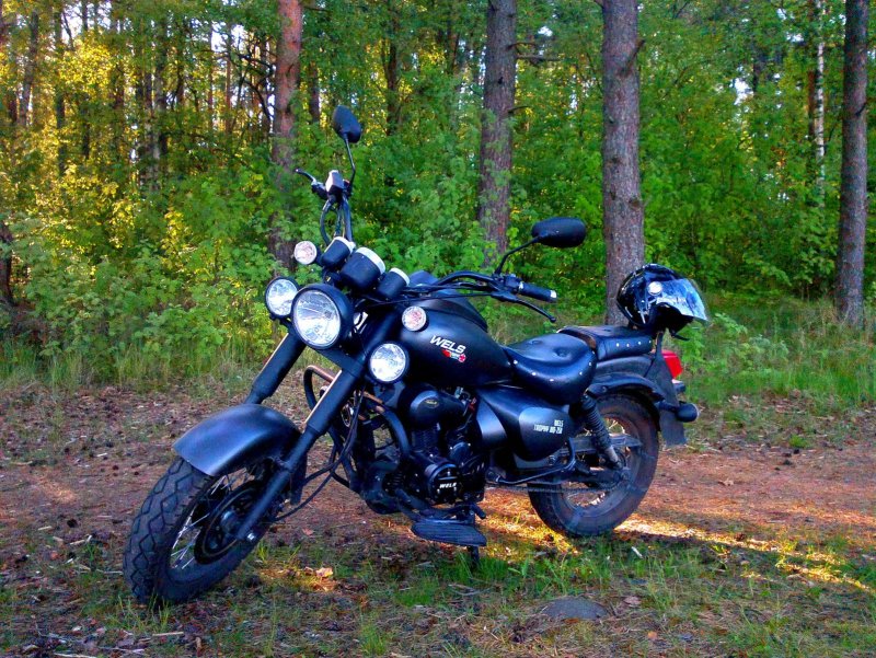 Wels трофейный 250