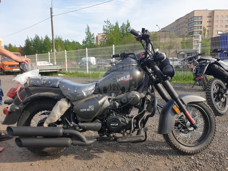 Wels Trophy 250