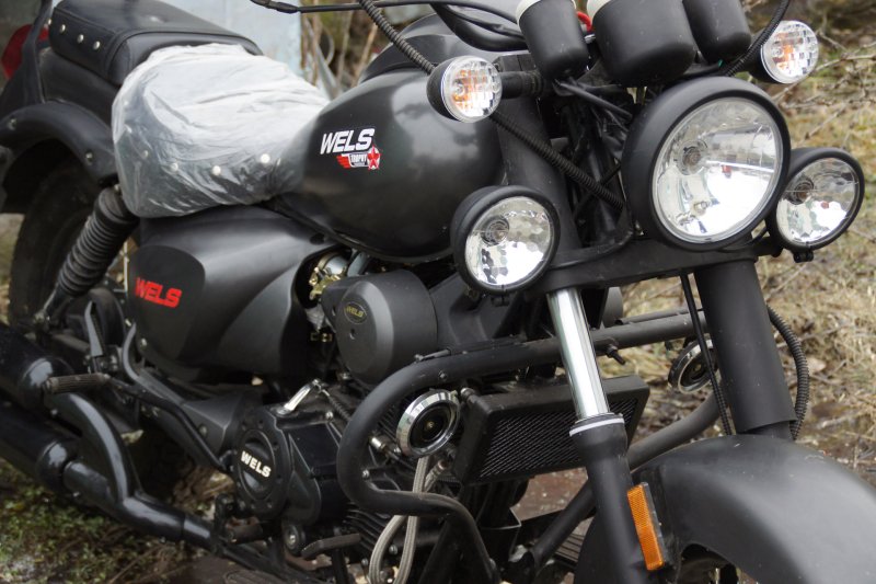 Wels трофейный 250