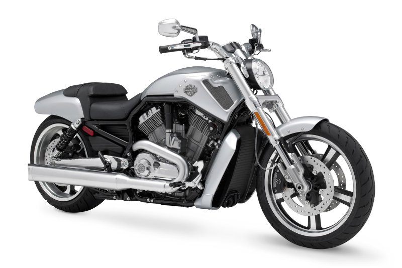 Harley Davidson VRSCF muscle