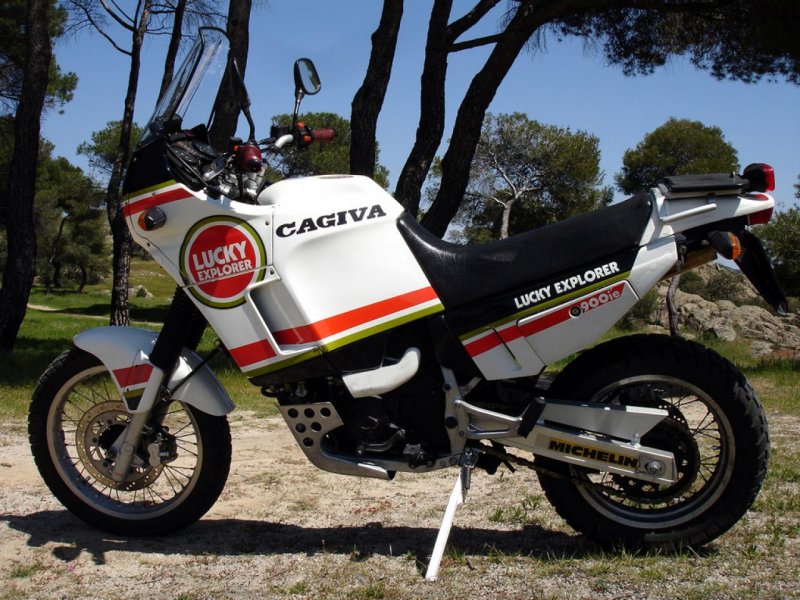 Elefant 900