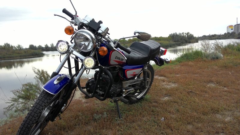 Alpha Sabur 110cc Blue