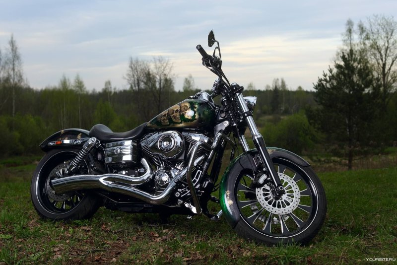Аэрография на Harley Davidson Dyna