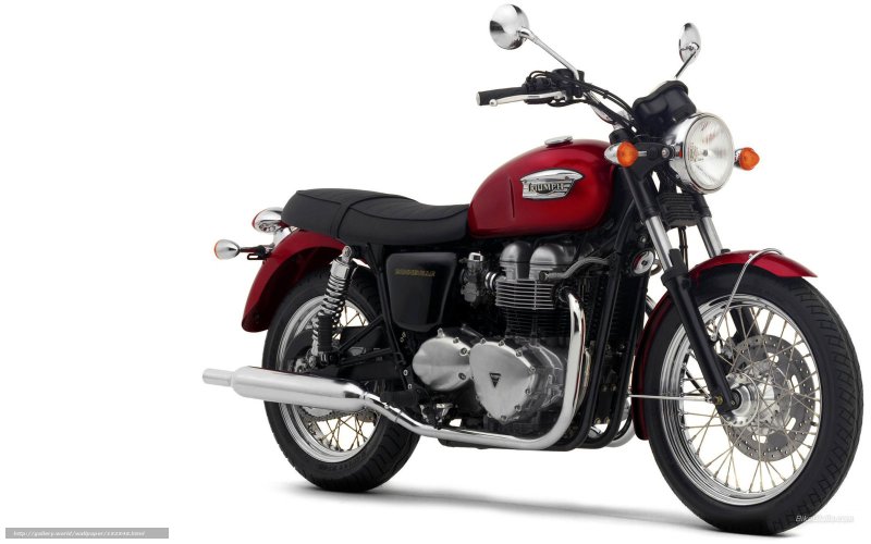 Triumph t100 2005