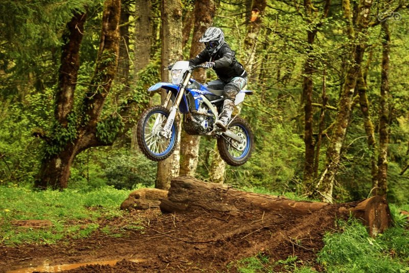 Yamaha WR 250 F 2018