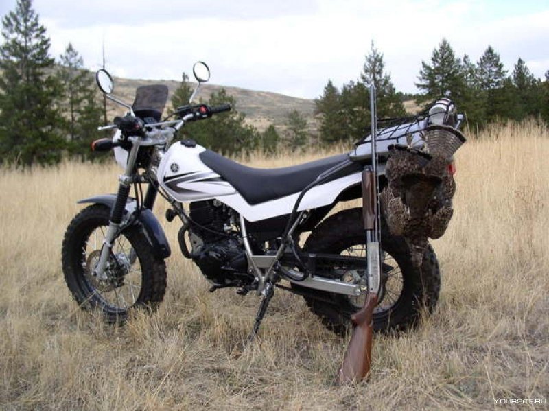 Yamaha 200 2008