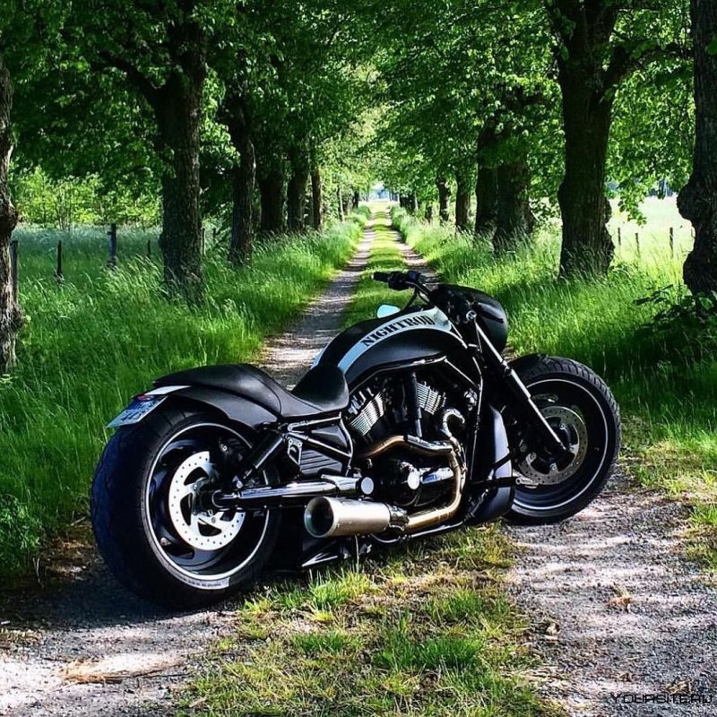 Чоппер Харлей Дэвидсон Night Rod