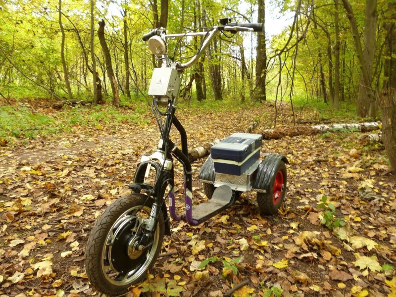 Электросамокат weped samodelka