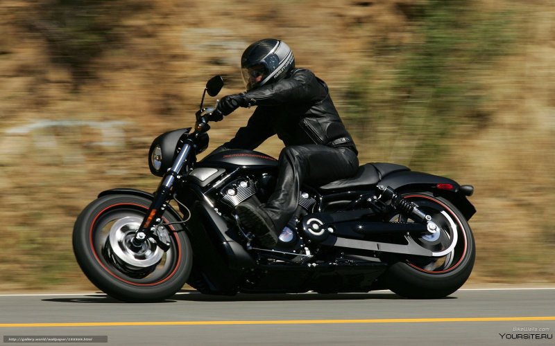 Harley-Davidson VRSC