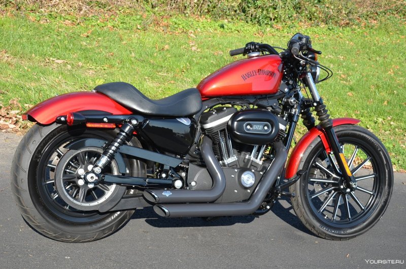 Harley Davidson Sportster