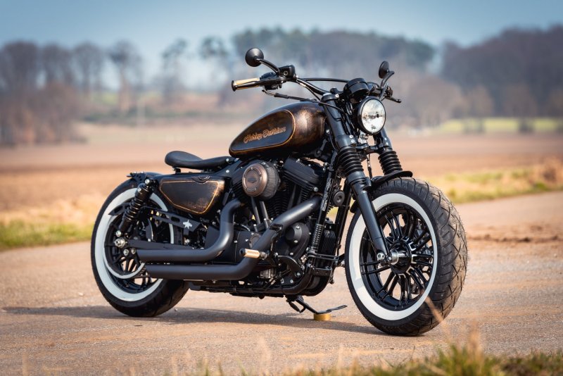 Harley Davidson Sportster xl1200x