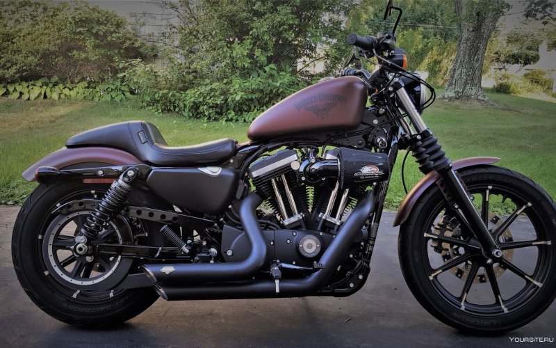 Harley Sportster