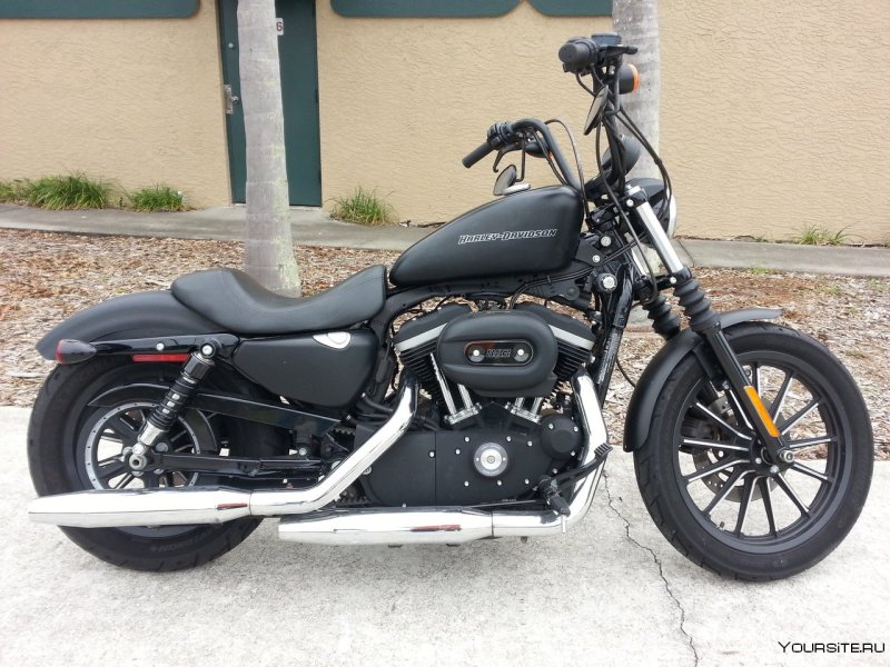 Harley Davidson Sportster 883