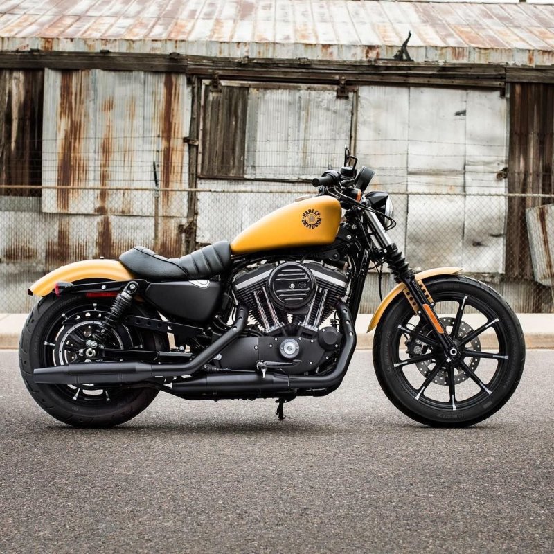 Harley Davidson Sportster 883