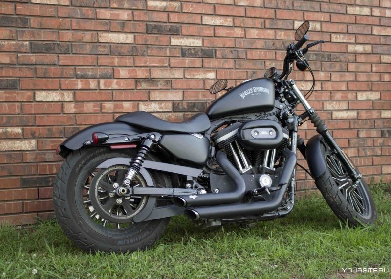 Harley Davidson Sportster 883