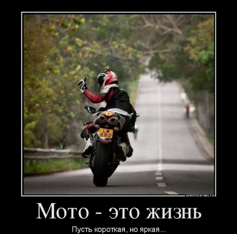 Приколы про мотоциклистов