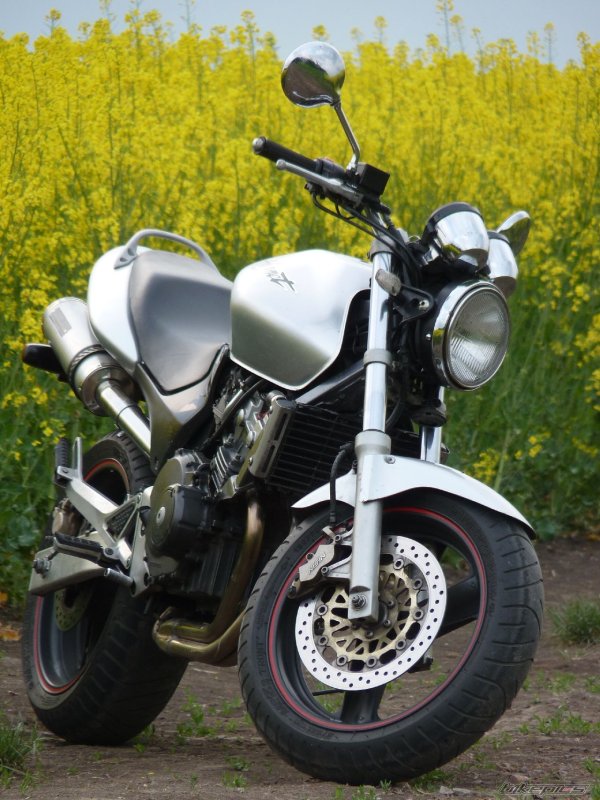 CB 250 Hornet