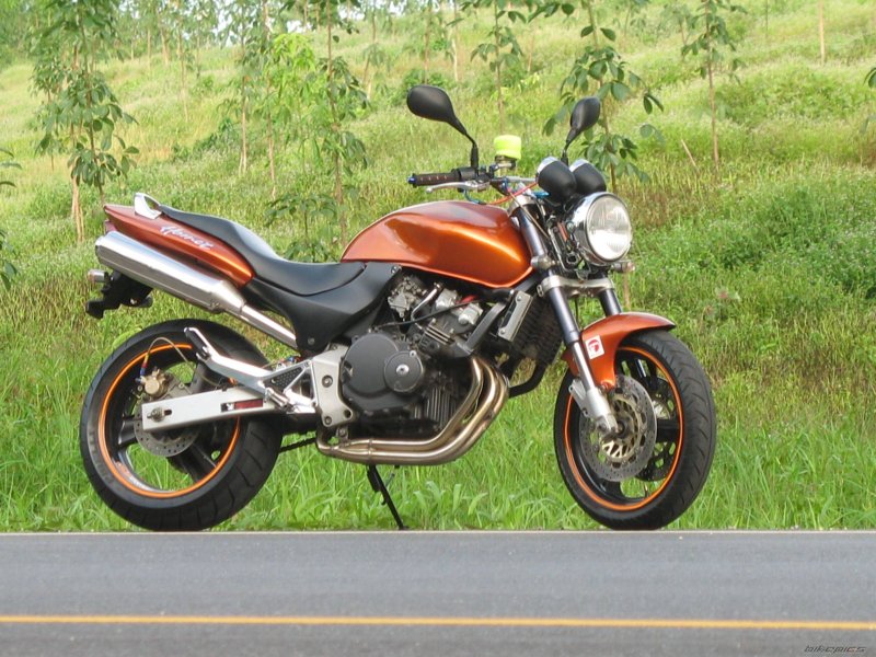 Хонда св 250 Хорнет