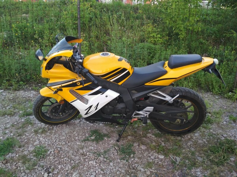 Ирбис з1 250