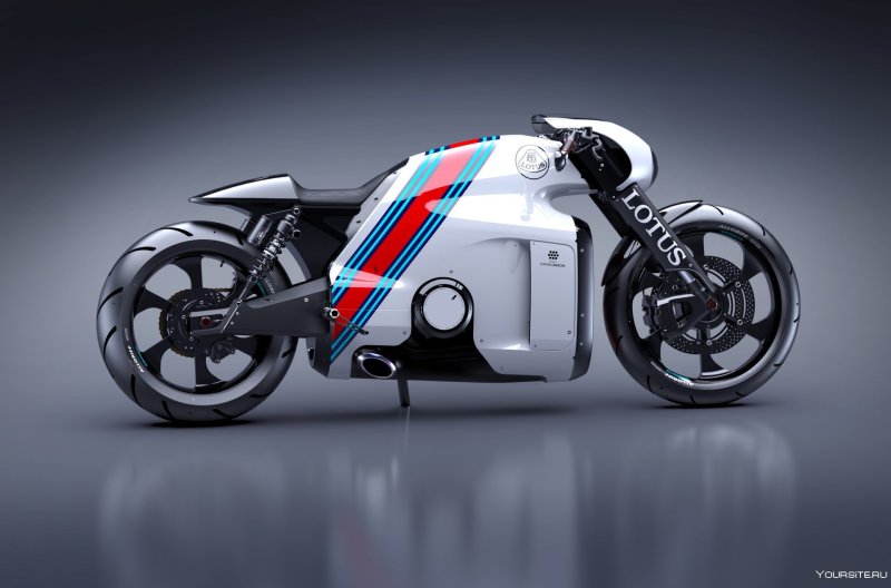 Lotus c-01
