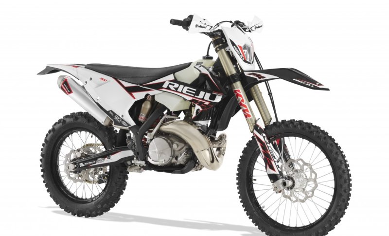 Racer 300 2021
