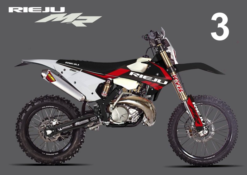 Rieju 300 2t