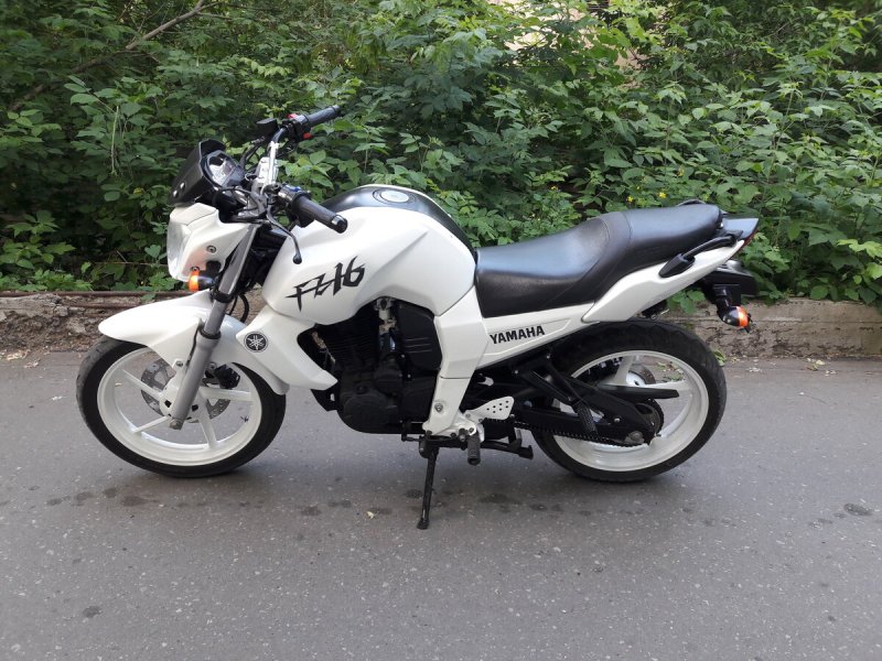Рейсер нитро 250 белый