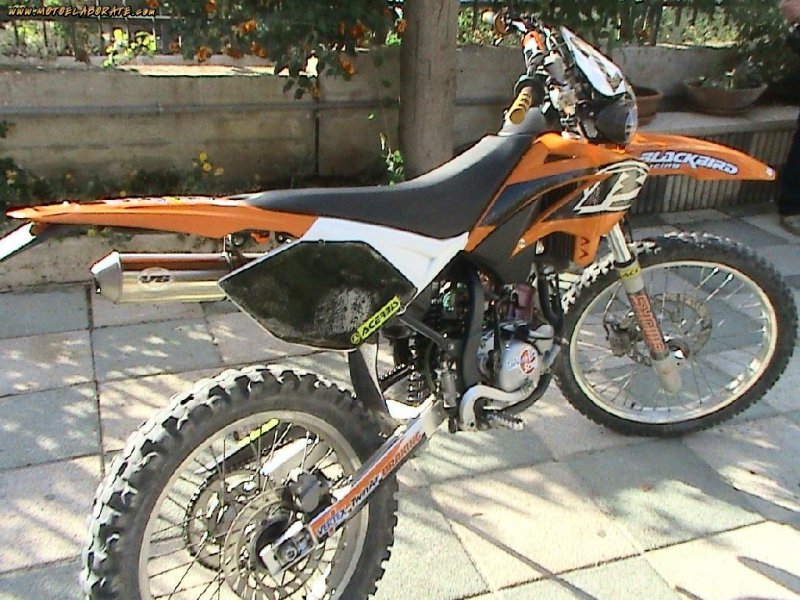 Beta rr50 2006