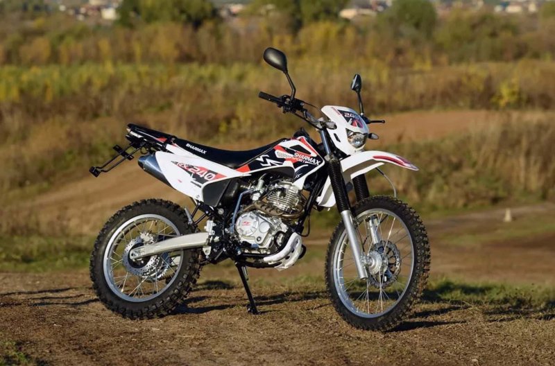 Sharmax Sport 240