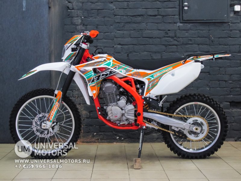 BSE z6 2022