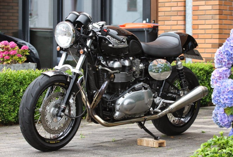 Мотоцикл Triumph Thruxton 900