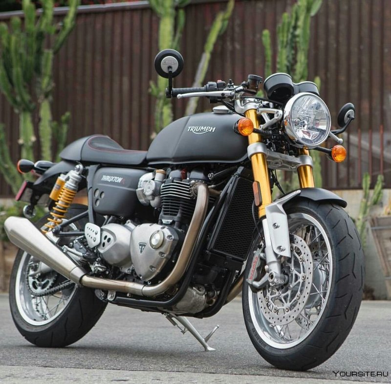 Triumph Thruxton 900