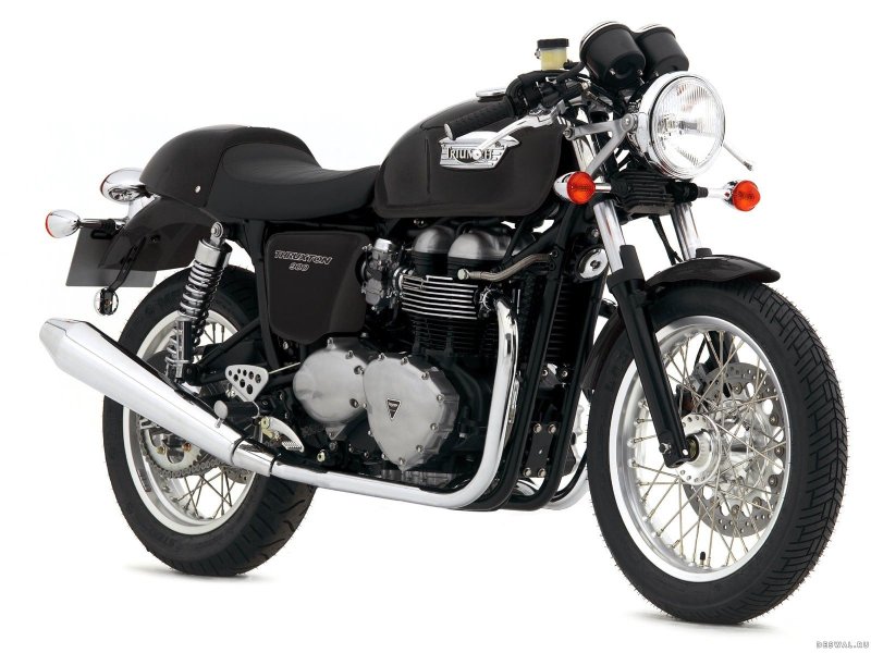 Triumph Thruxton 2010