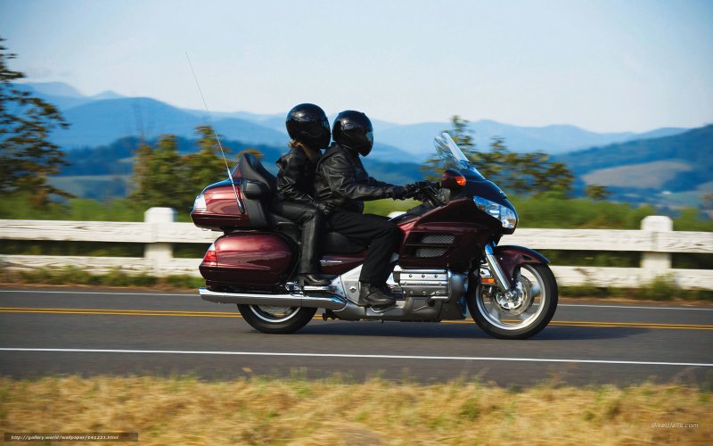 2006 Gl1800