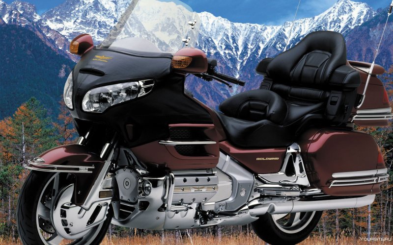 Honda Goldwing 2001