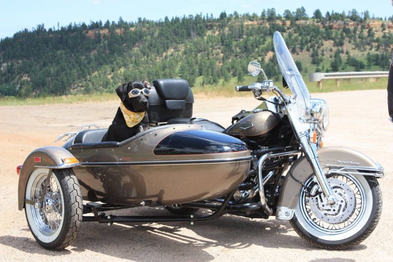 Motorcycle with Sidecar