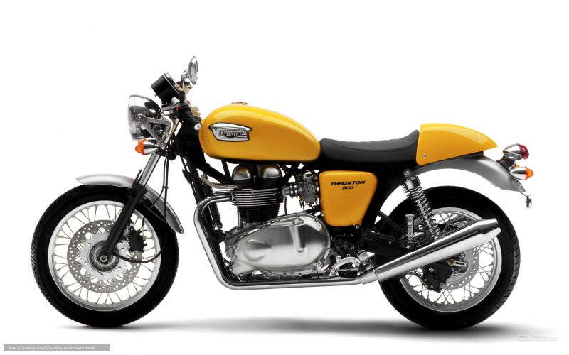 Triumph Thruxton 900