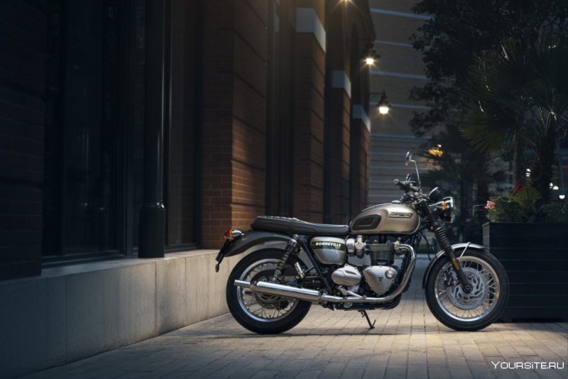 Triumph Gold line