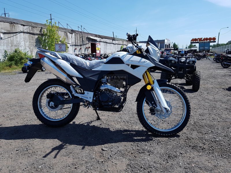 Ranger 300 gy8