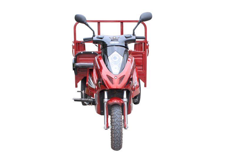 Racer RC-G-110 Muravei