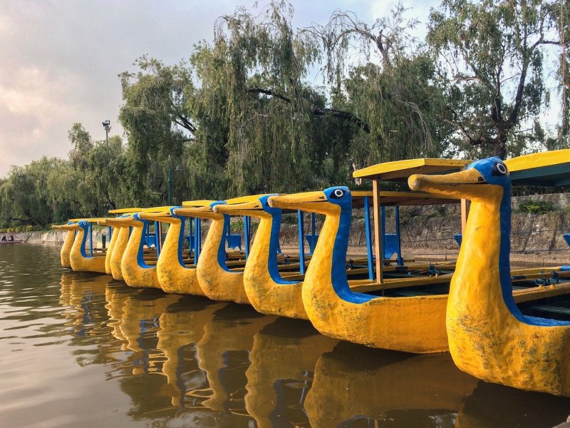 Лодка утенок