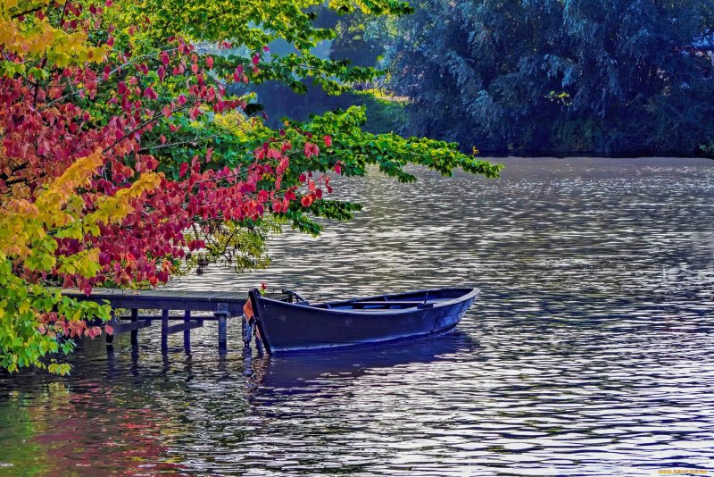 Лодка вода осень