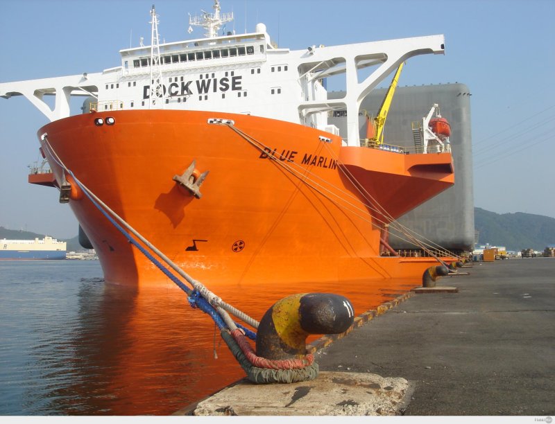 Dockwise White Marlin