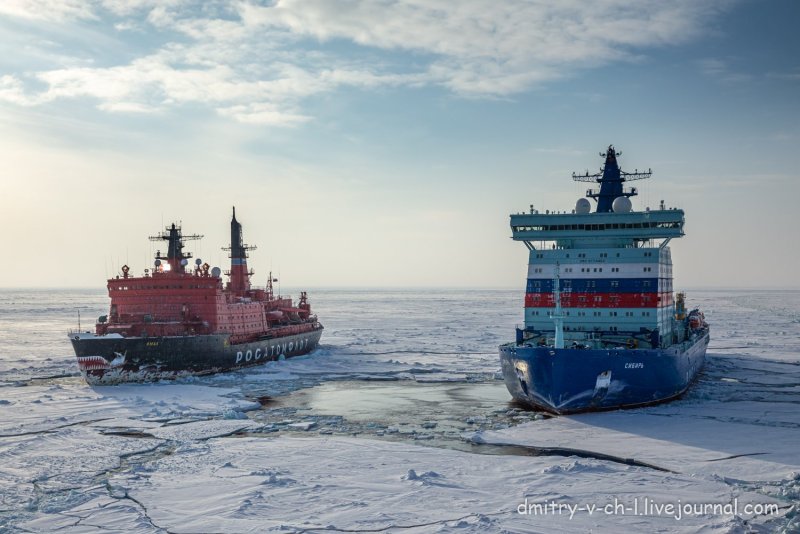 Фото тг Арктика 9428499