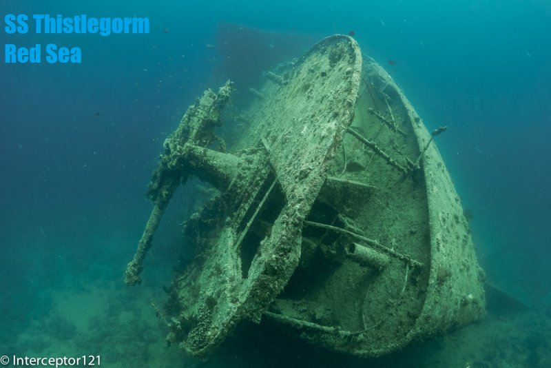 Корабль SS Thistlegorm, красное море