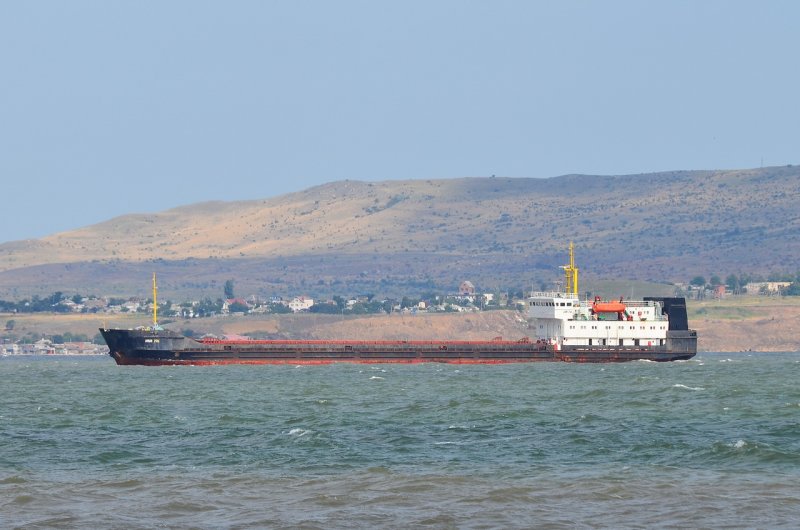 Теплоход Амур 2516