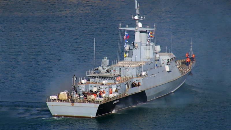 Циклон 22800 Каракурт