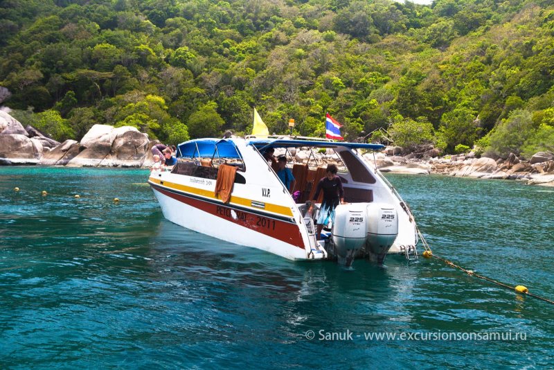 Speedboat катер Тайланд